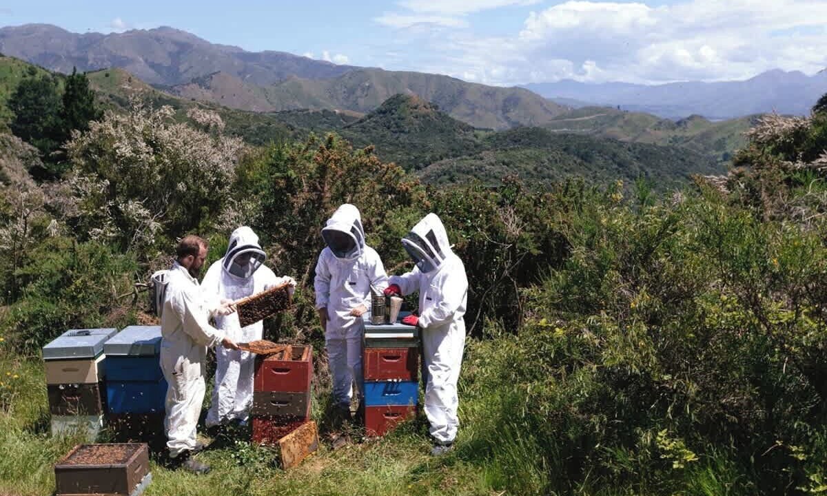 Photo of Others in Kaikoura