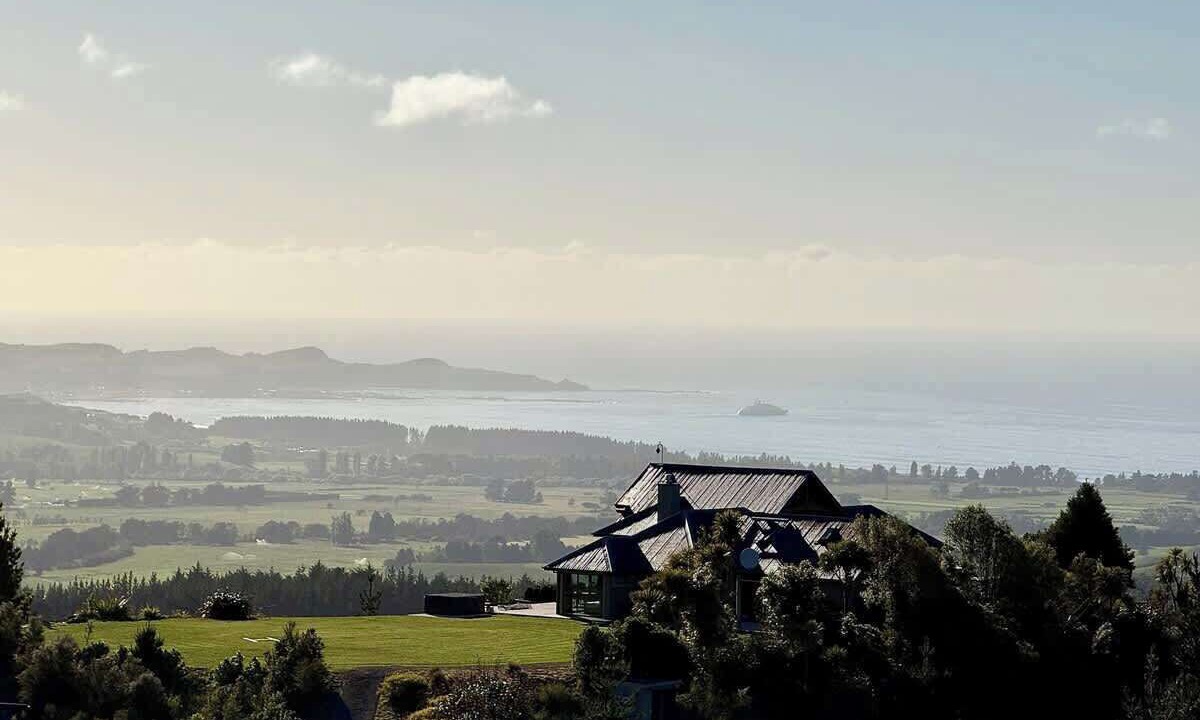 Photo of Others in Kaikoura