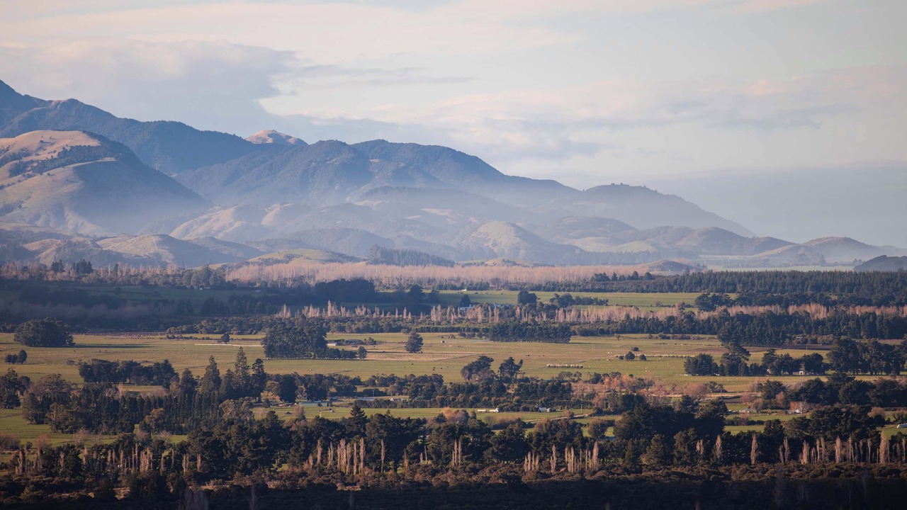 Photo of Others in Kaikoura