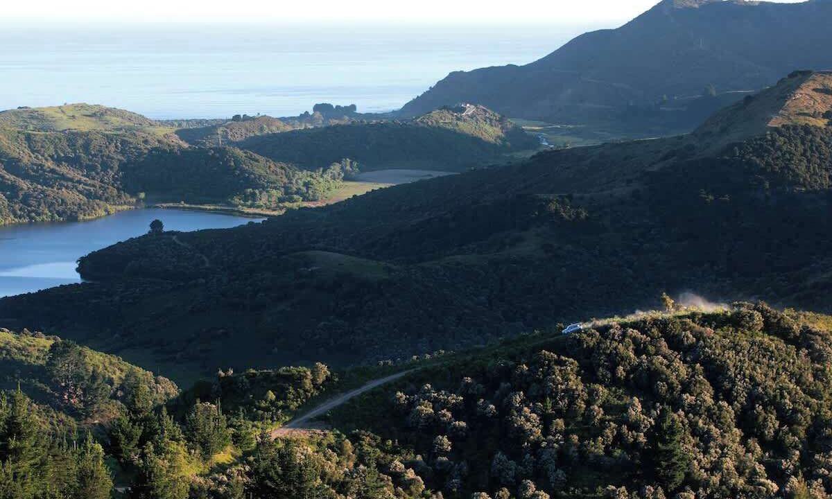 Photo of Others in Kaikoura