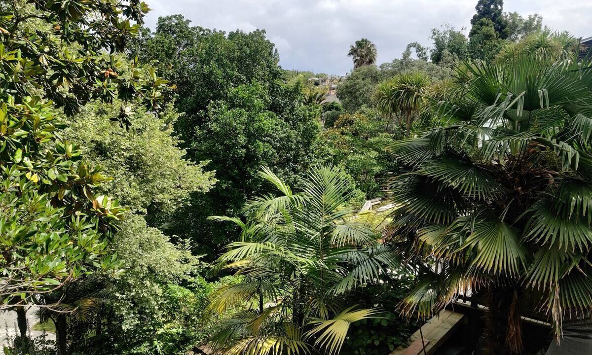 Photo of Outdoor in Freemans Bay