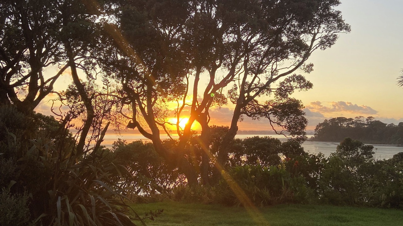 Photo of Others in Auckland