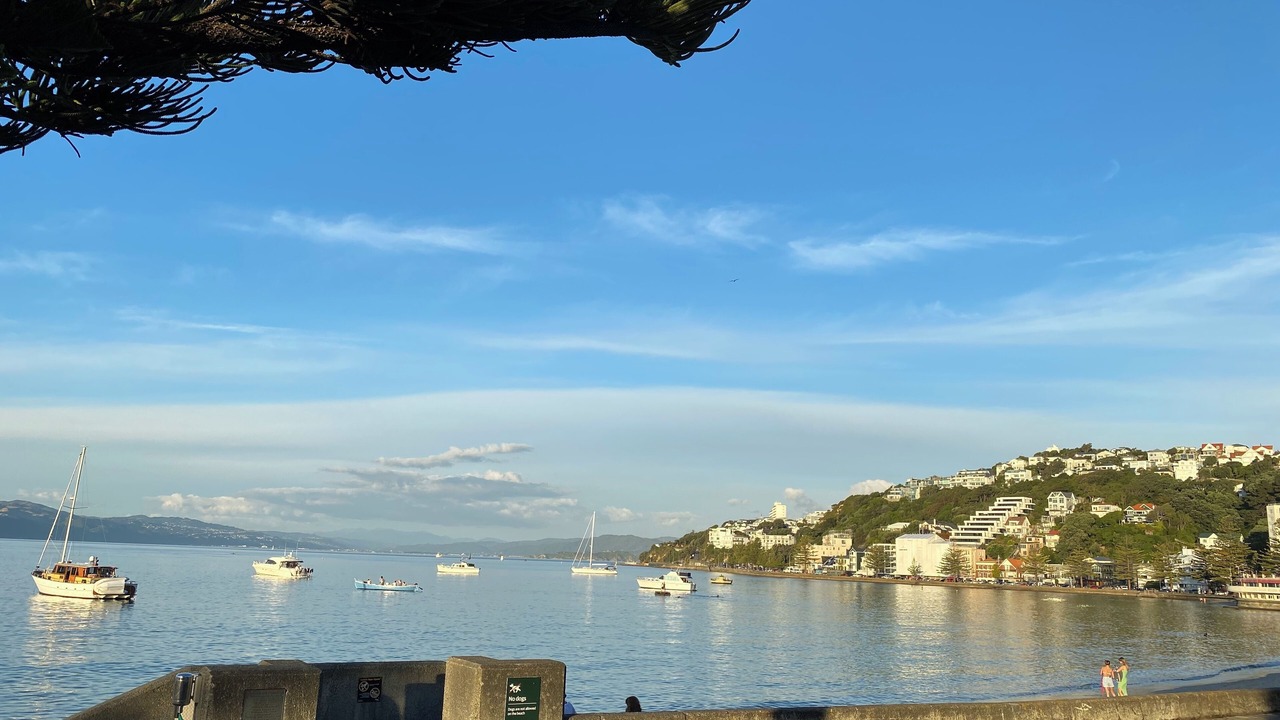 Photo of Others in Oriental Bay
