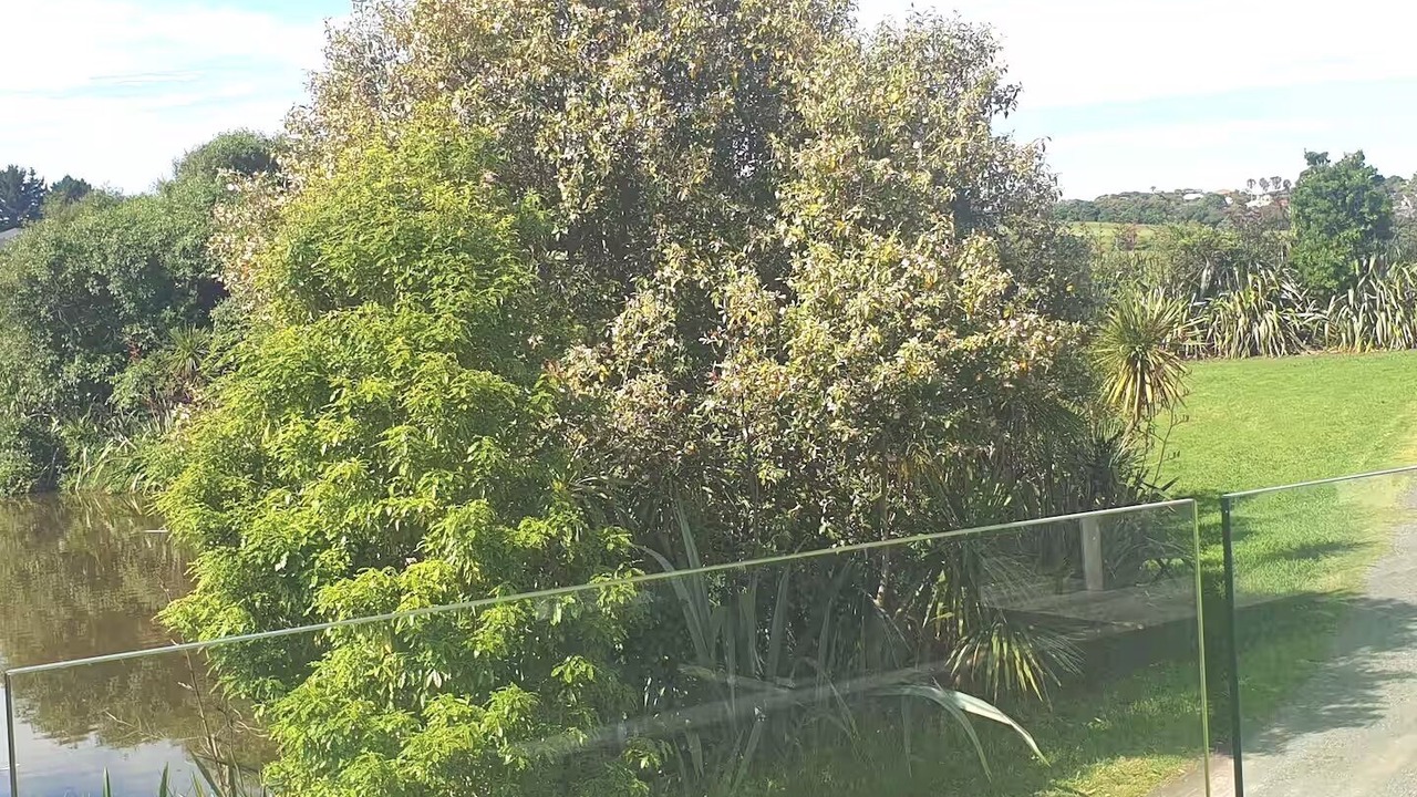 Photo of Outdoor in Gulf Harbour