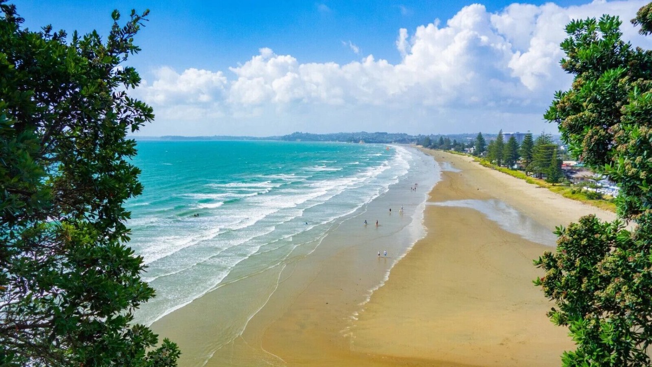 Photo of Others in Orewa