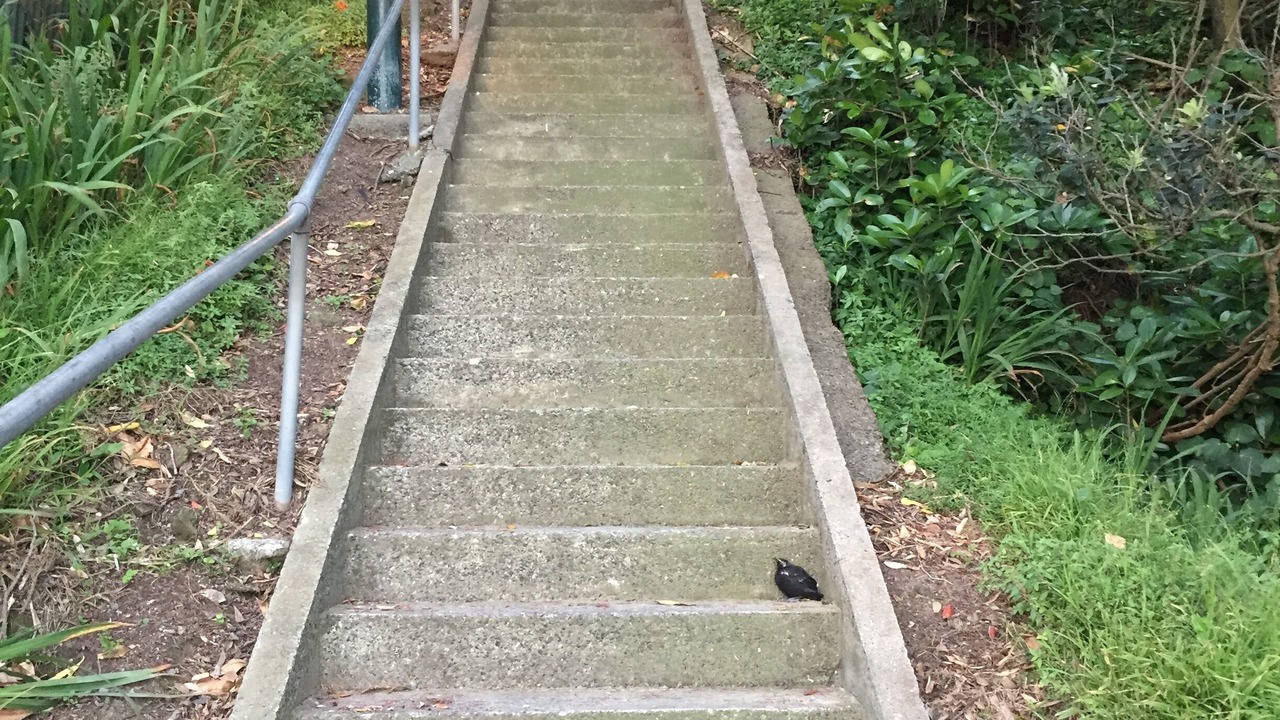 Photo of Outdoor in Lower Hutt
