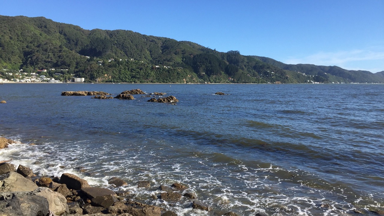 Photo of Others in Lower Hutt
