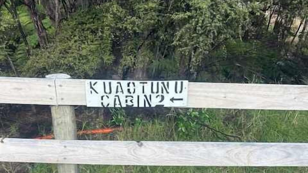 Photo of Others in Kuaotunu