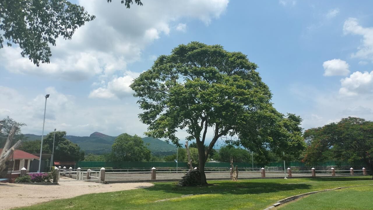 Photo of Others in Yautepec