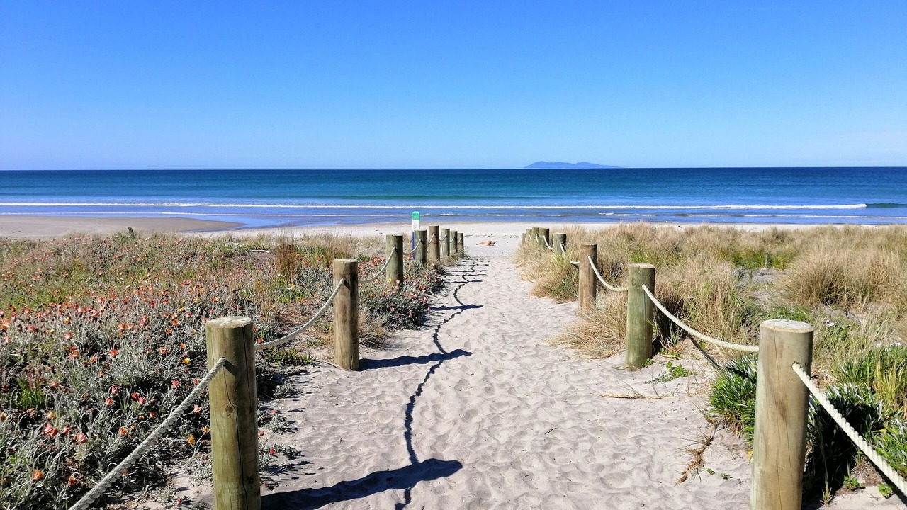 Photo of Others in Waihi Beach