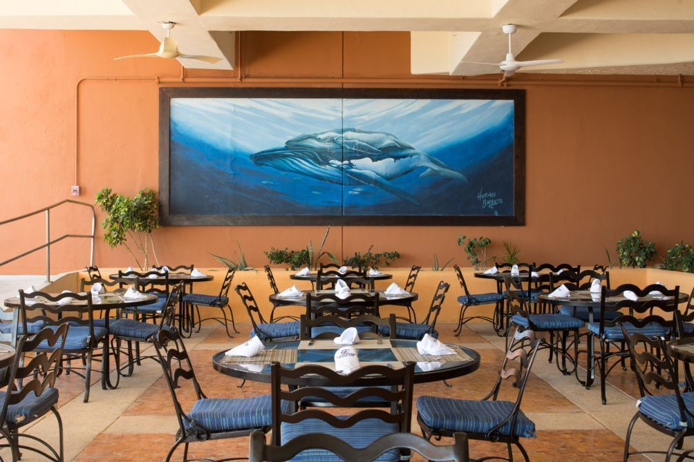 Photo of Others in San Jose del Cabo