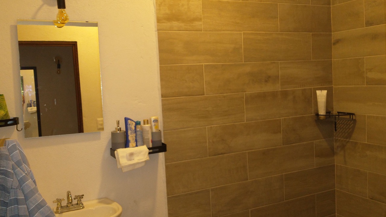 Photo of Bathroom in Comala