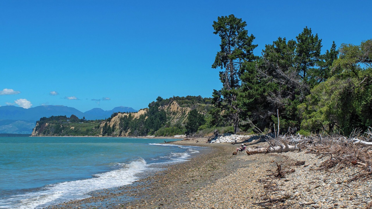 Photo of Others in Tasman