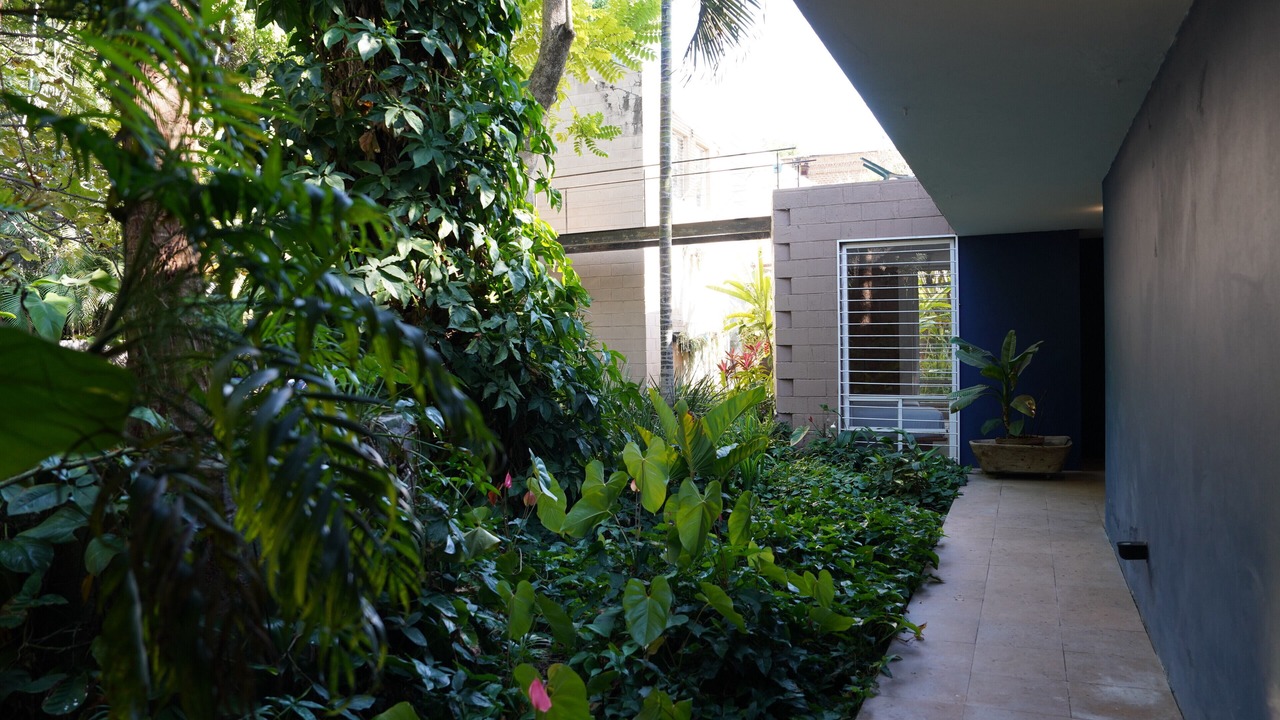 Photo of Outdoor in Chiconcuac