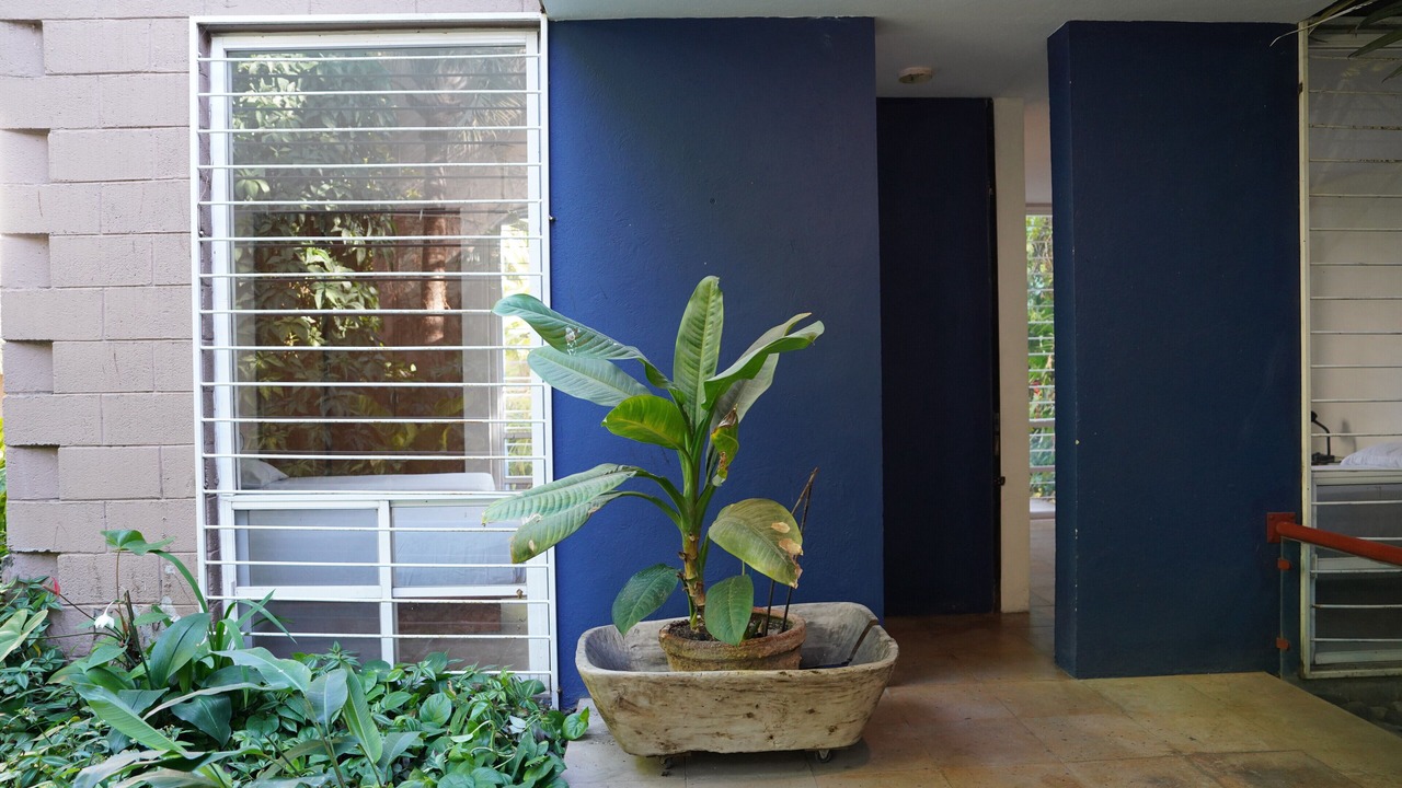Photo of Outdoor in Chiconcuac