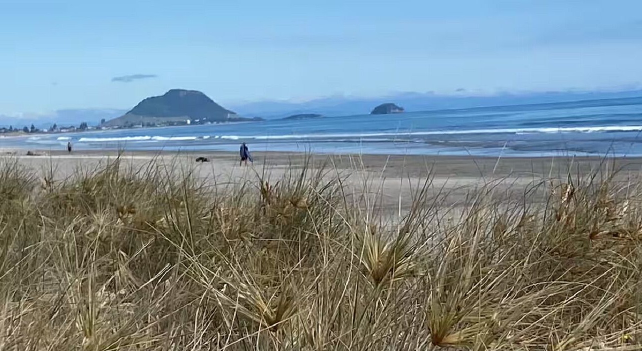 Photo of Others in Papamoa Beach