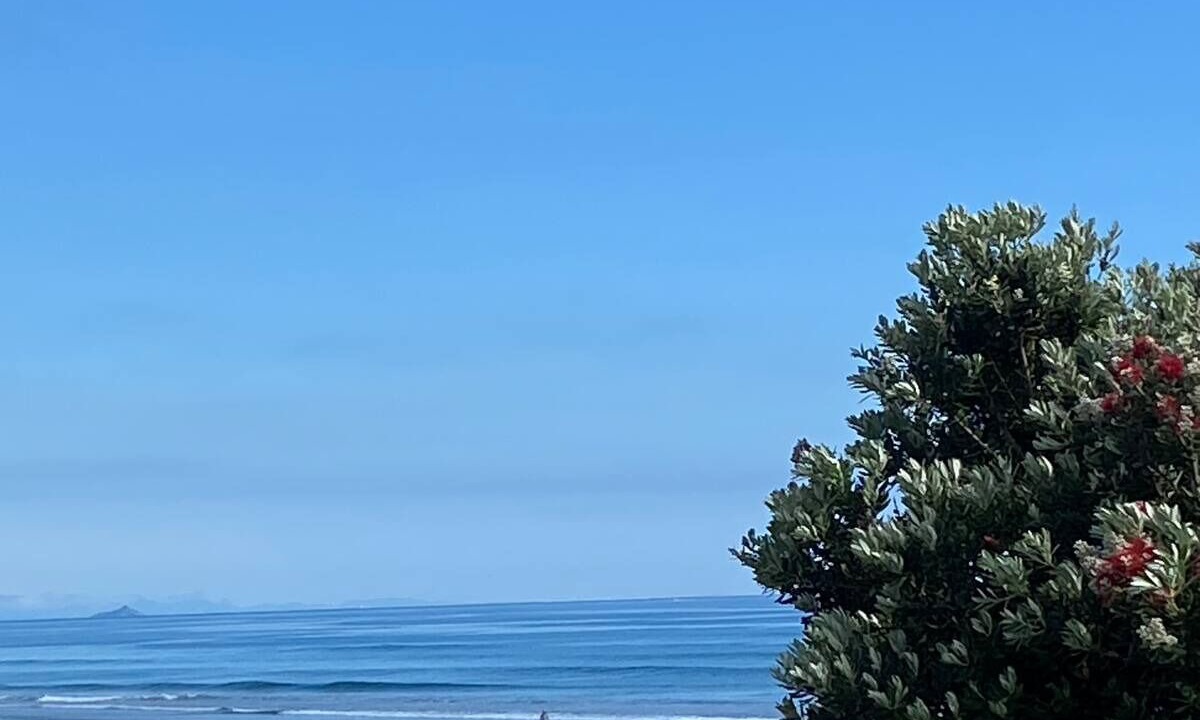 Photo of Others in Papamoa Beach