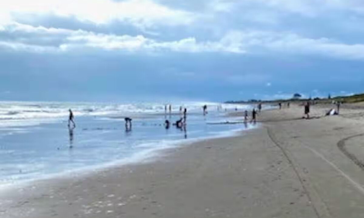 Photo of Others in Papamoa Beach