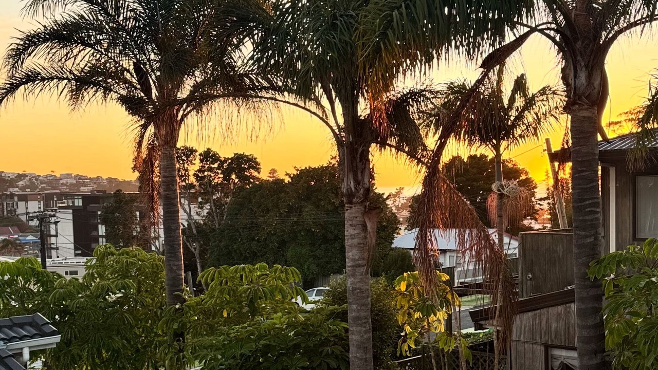 Photo of Outdoor in Browns Bay
