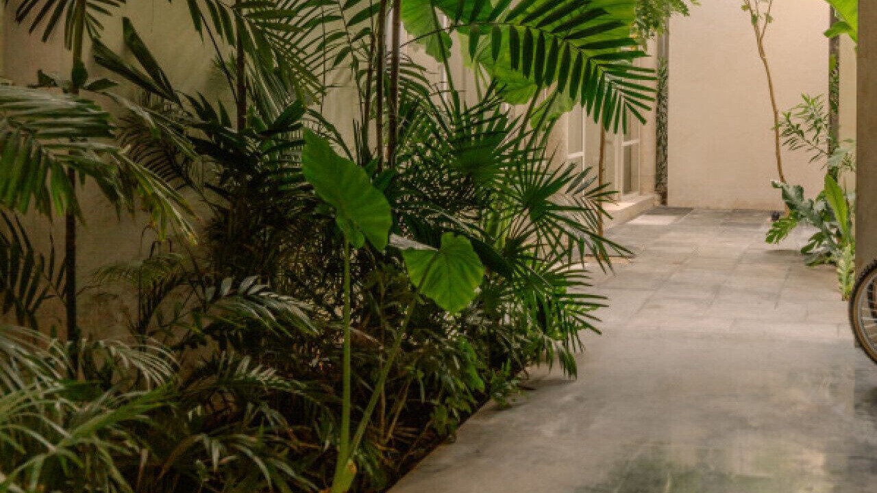 Photo of Outdoor in Centro