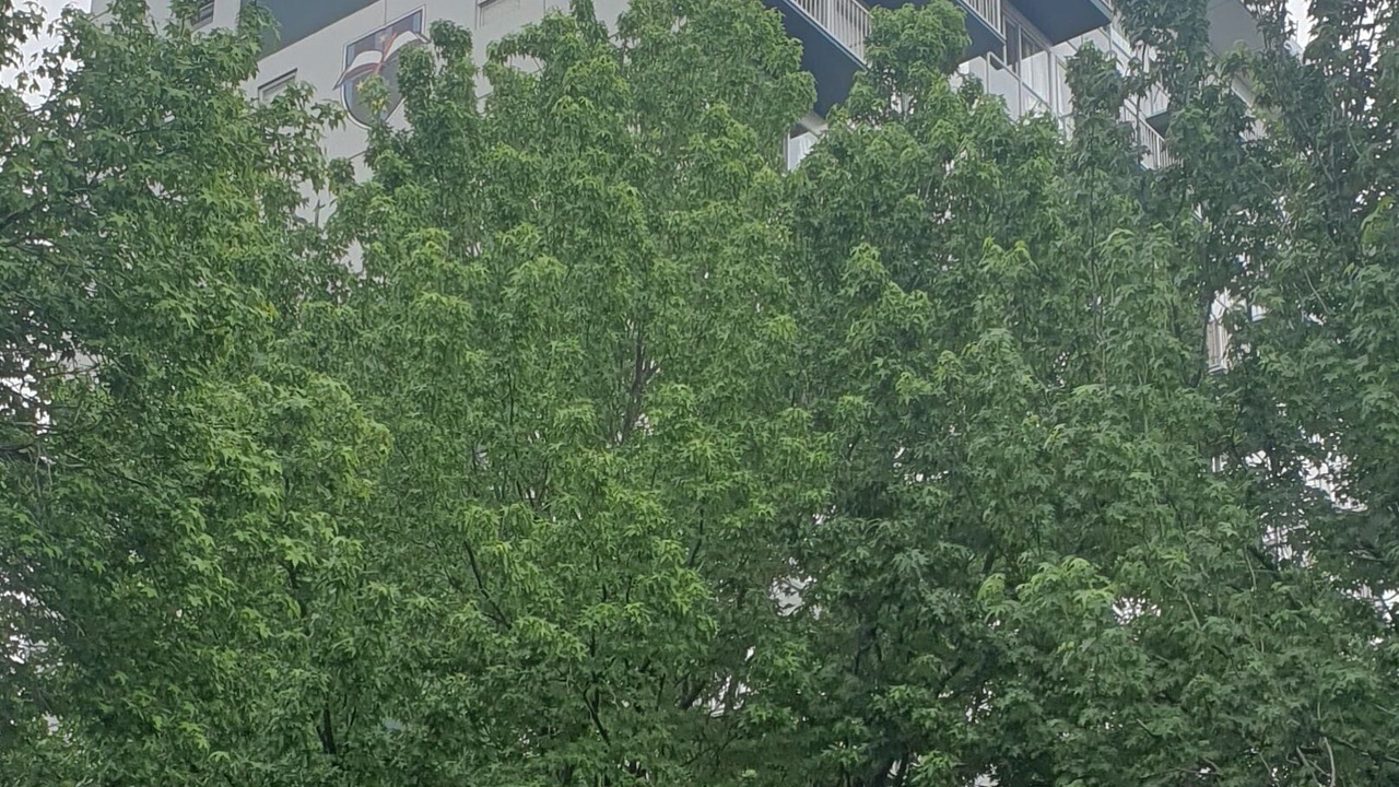 Photo of Outdoor in Auckland Central Business District
