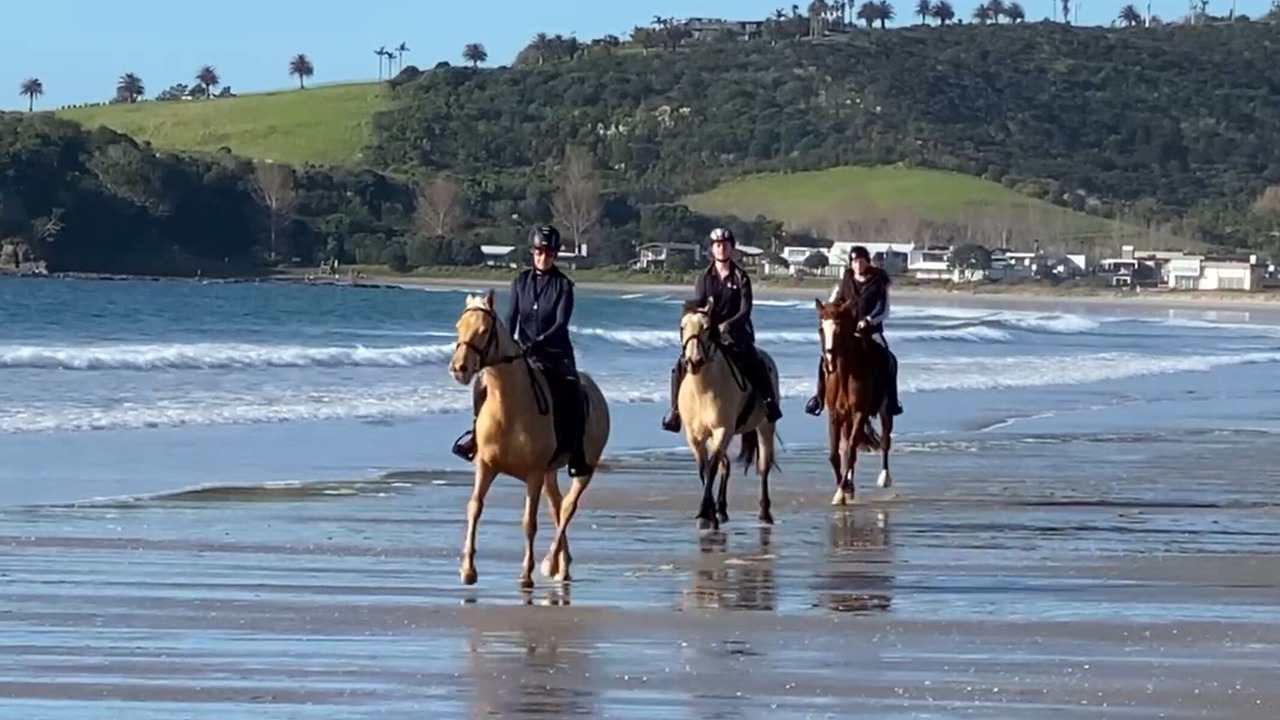 Photo of Others in Warkworth