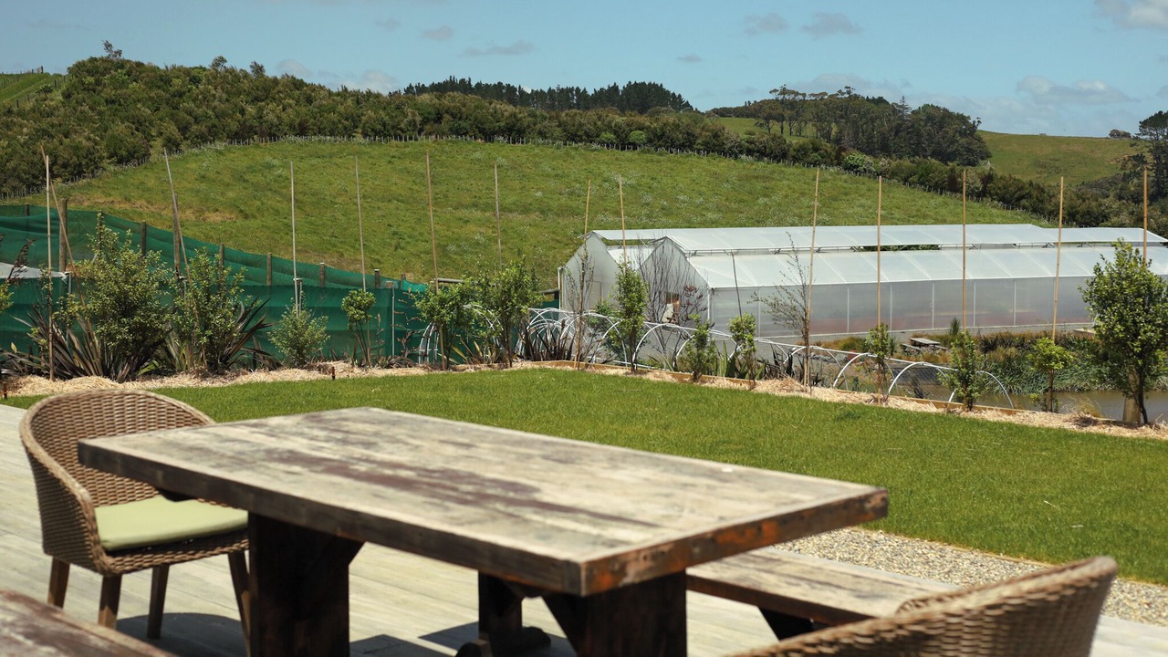 Photo of Outdoor in Mahurangi West