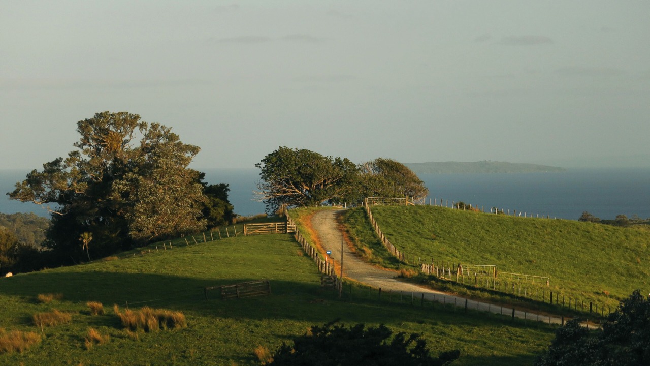 Photo of Others in Mahurangi West