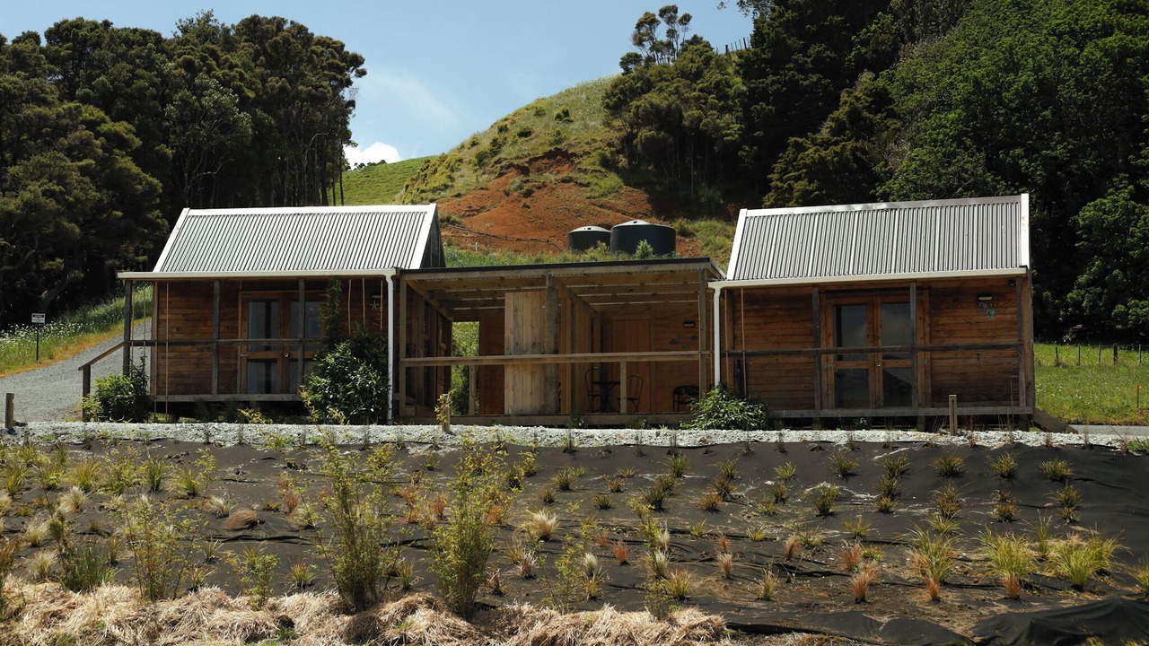 Photo of Outdoor in Mahurangi West