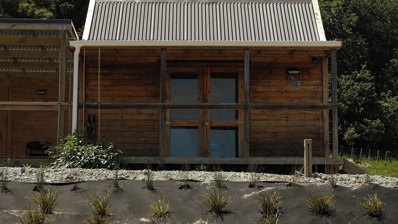 Photo of Outdoor in Mahurangi West