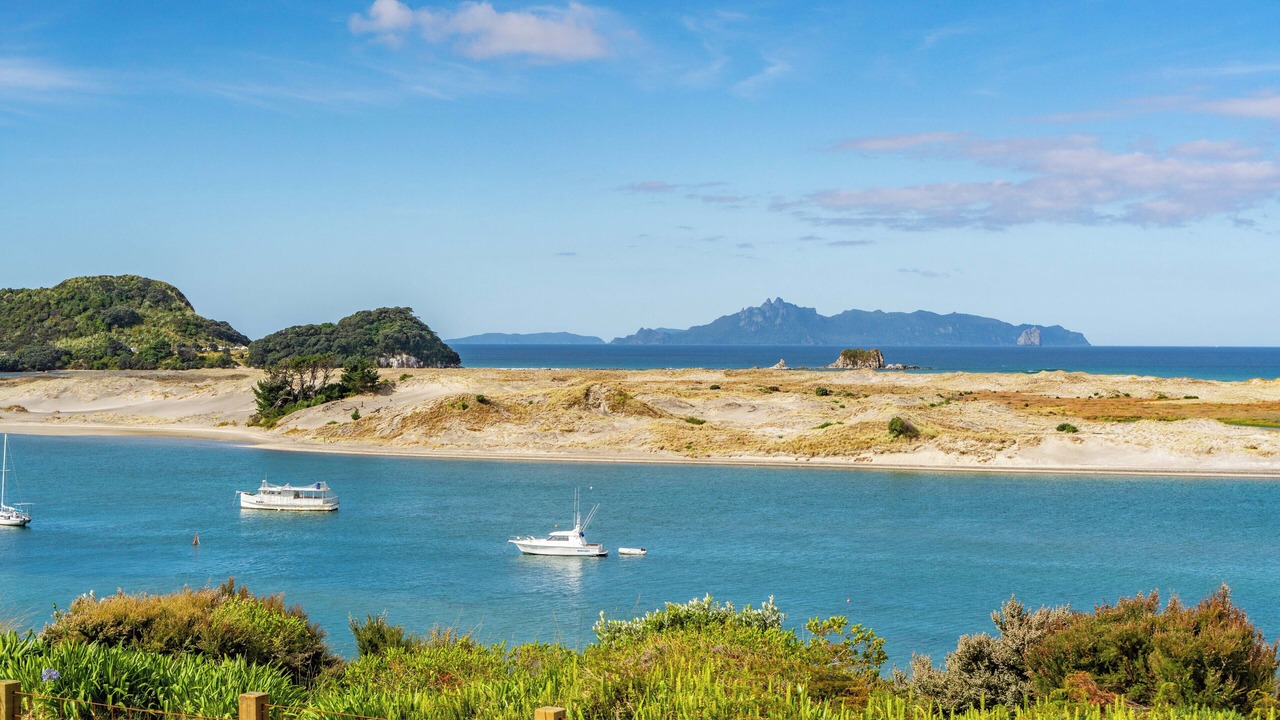 Photo of Others in Mangawhai Heads