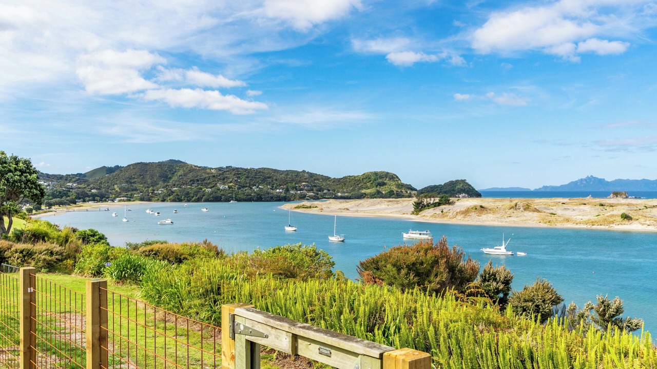 Photo of Outdoor in Mangawhai Heads