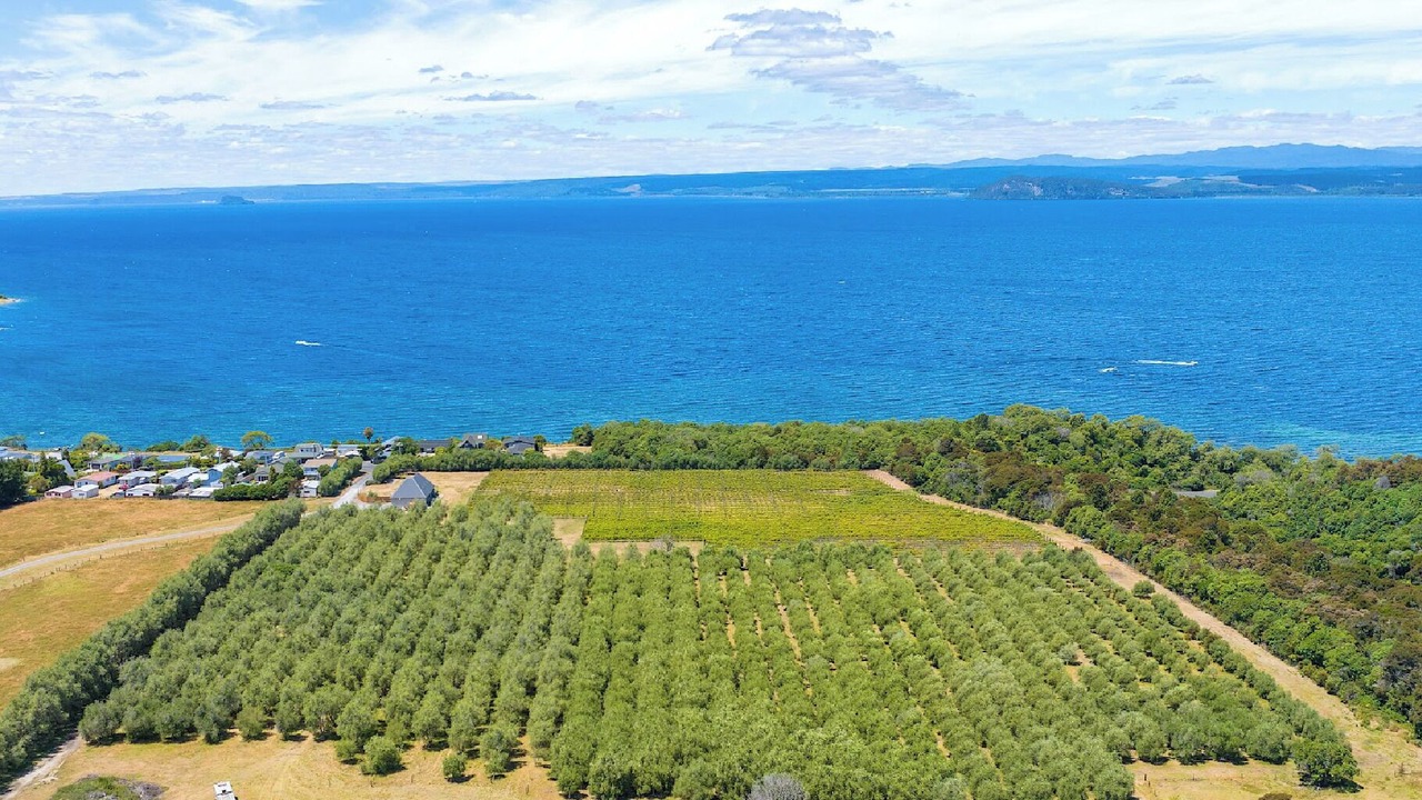 Photo of Outdoor in Omori