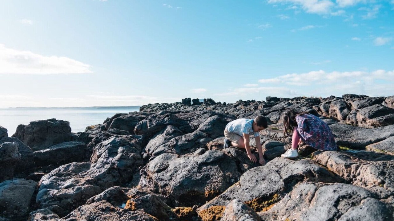 Photo of Outdoor in Takapuna