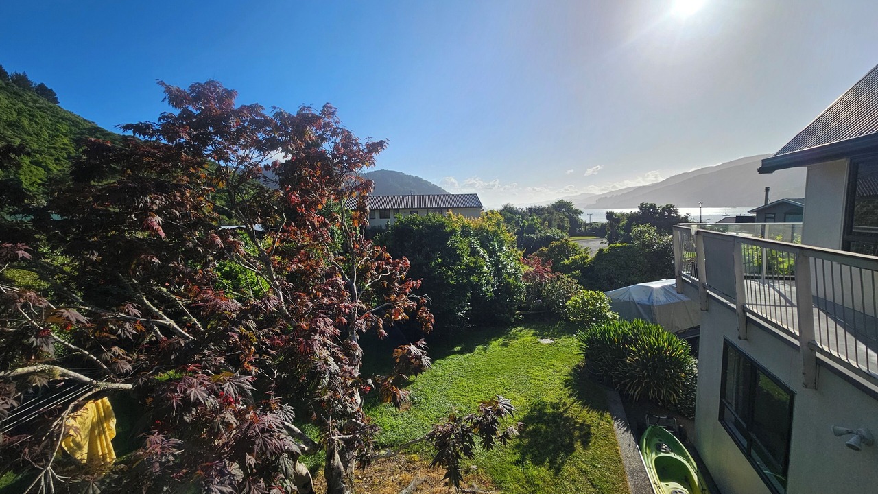 Photo of Outdoor in Anakiwa