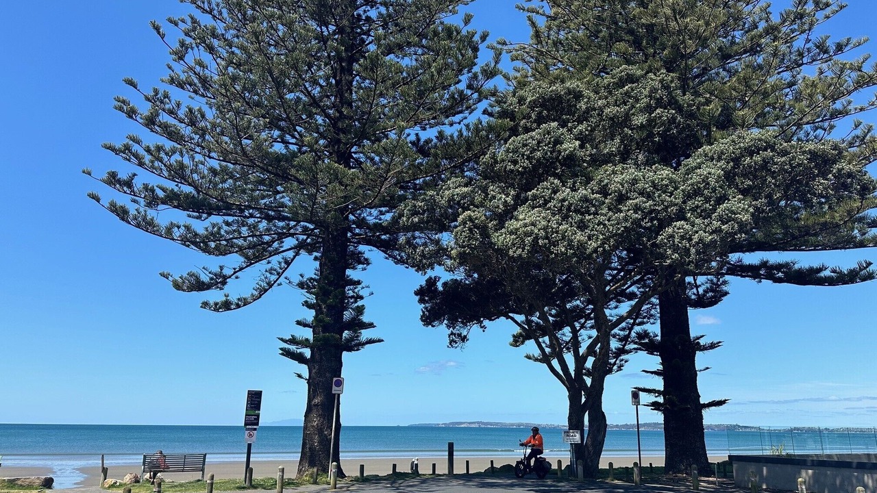 Photo of Others in Orewa