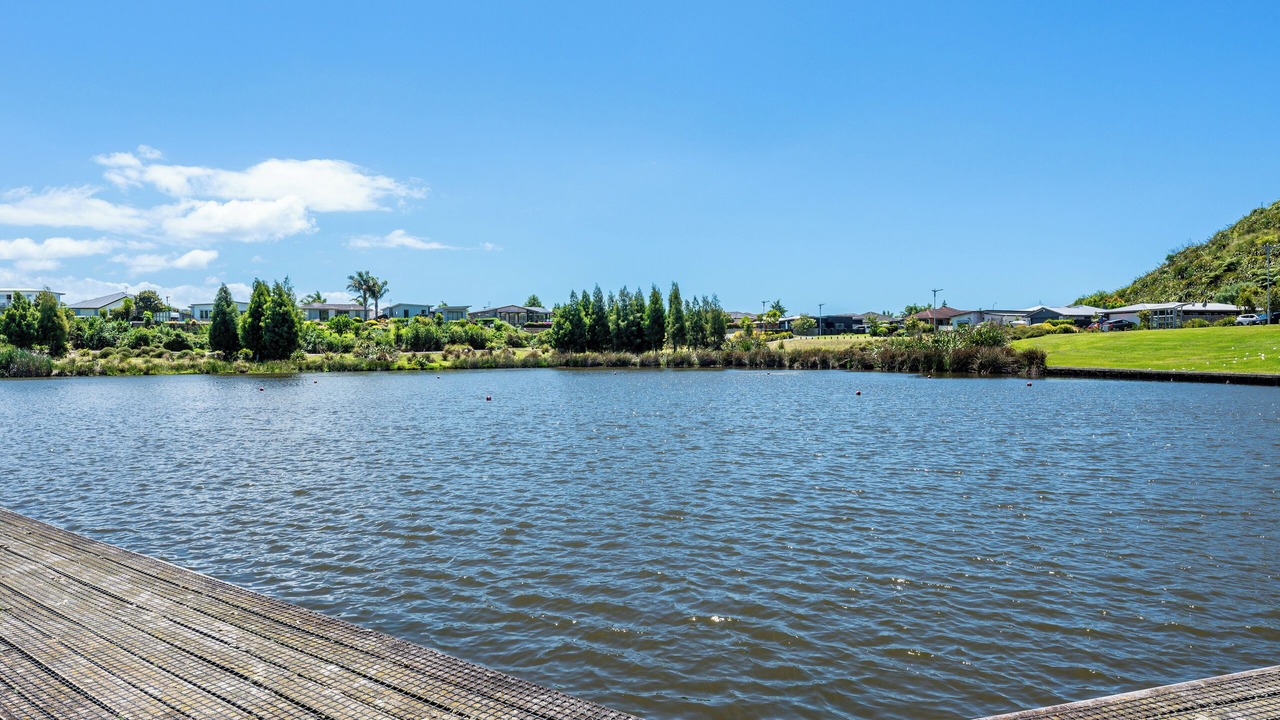Photo of Others in Tauranga