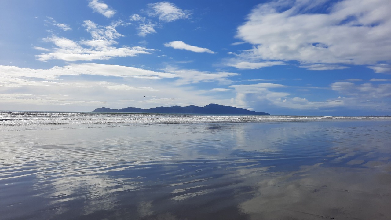 Photo of Others in Paekakariki