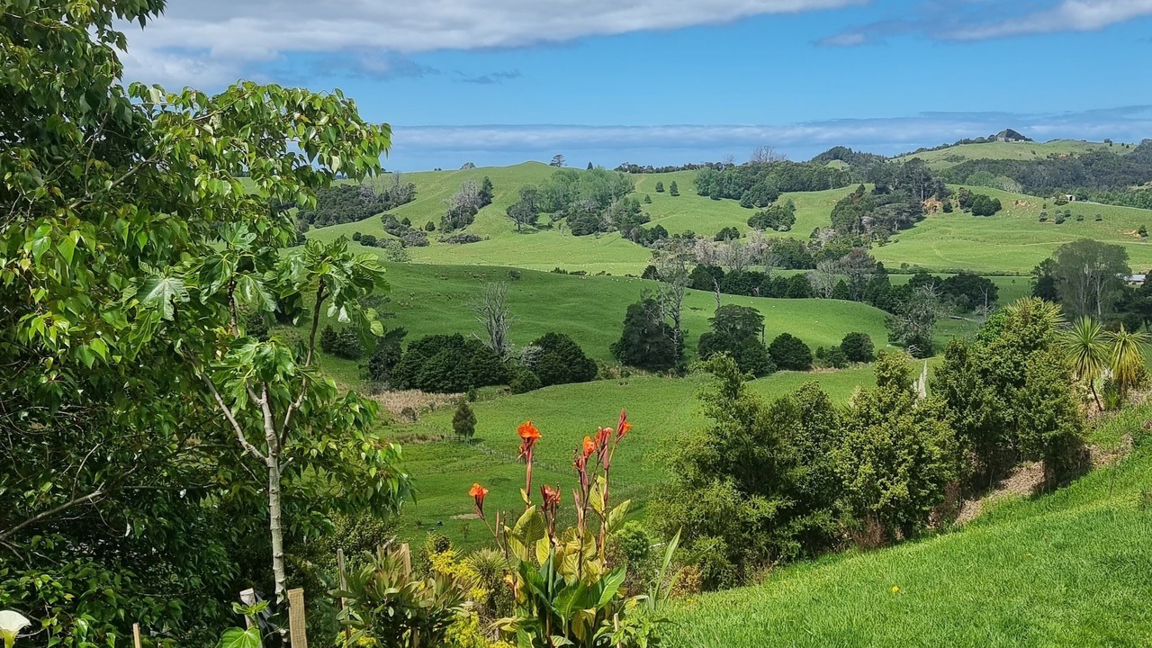 Photo of Outdoor in Matakana