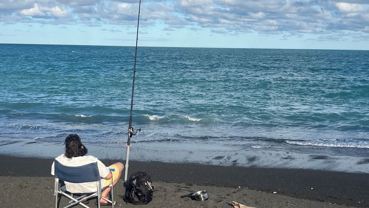 Photo of Others in Napier