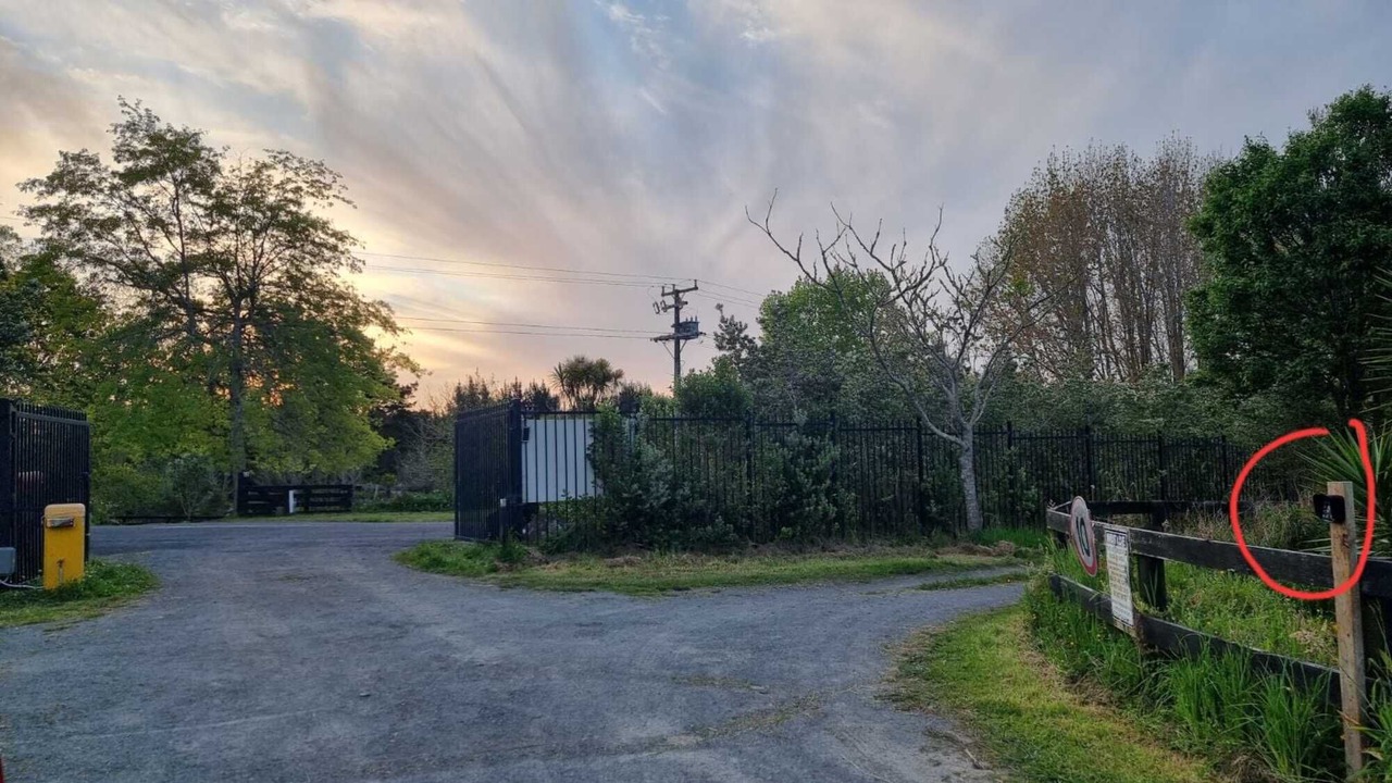 Photo of Outdoor in Waitoki