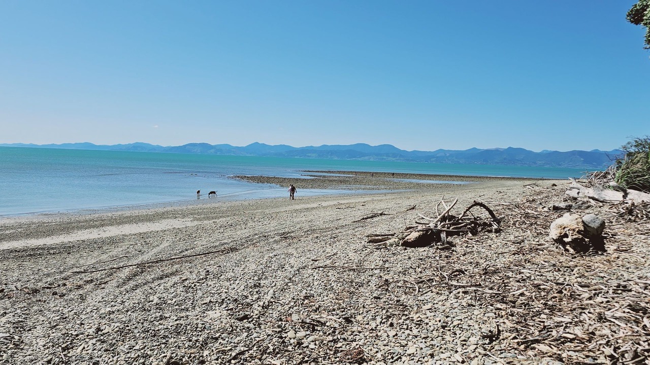 Photo of Others in Tasman