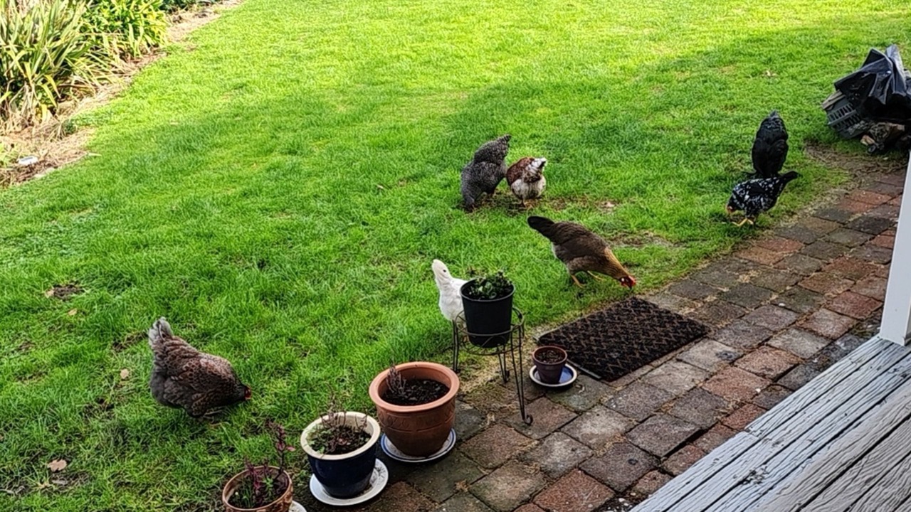 Photo of Outdoor in Thames