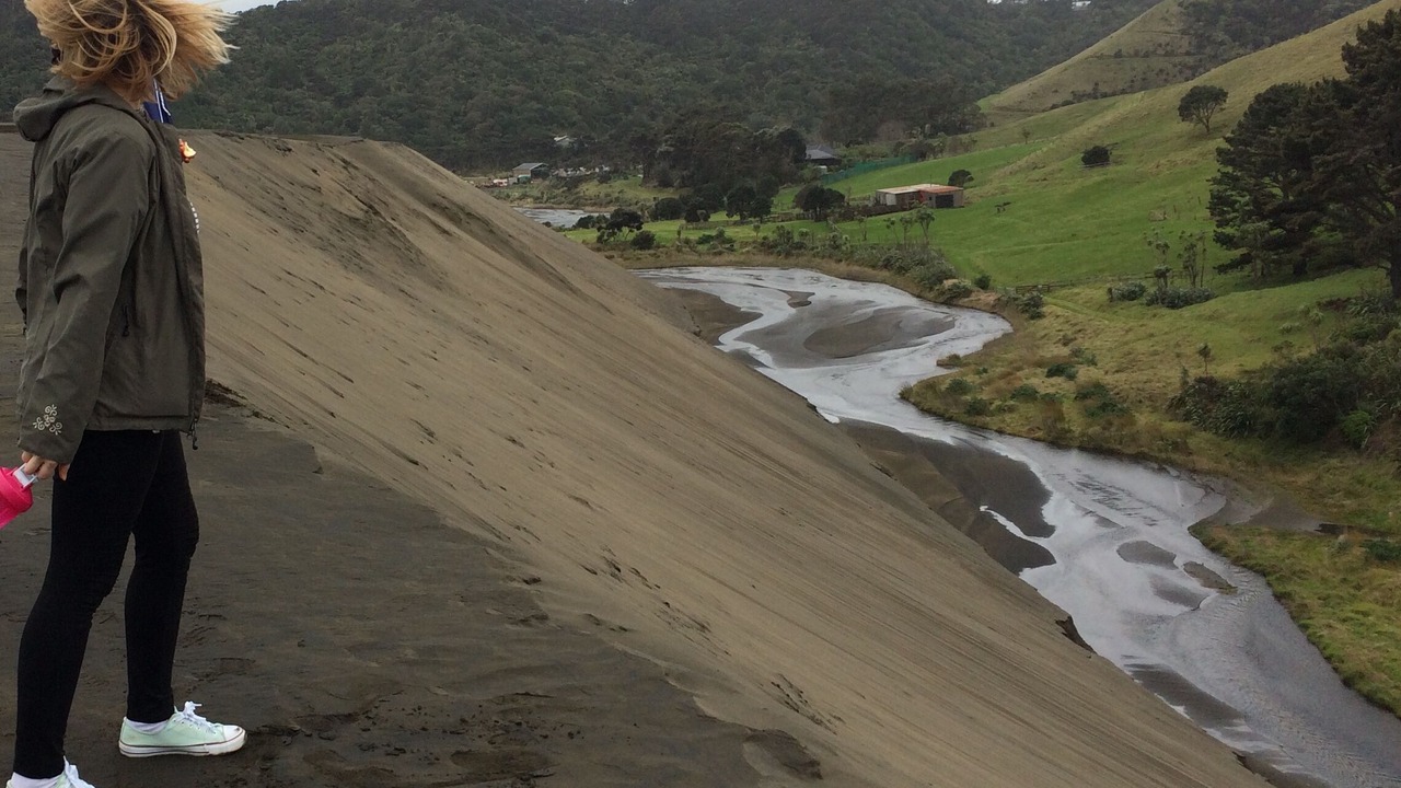 Photo of Others in Bethells Beach