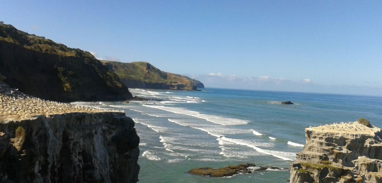 Photo of Others in Bethells Beach