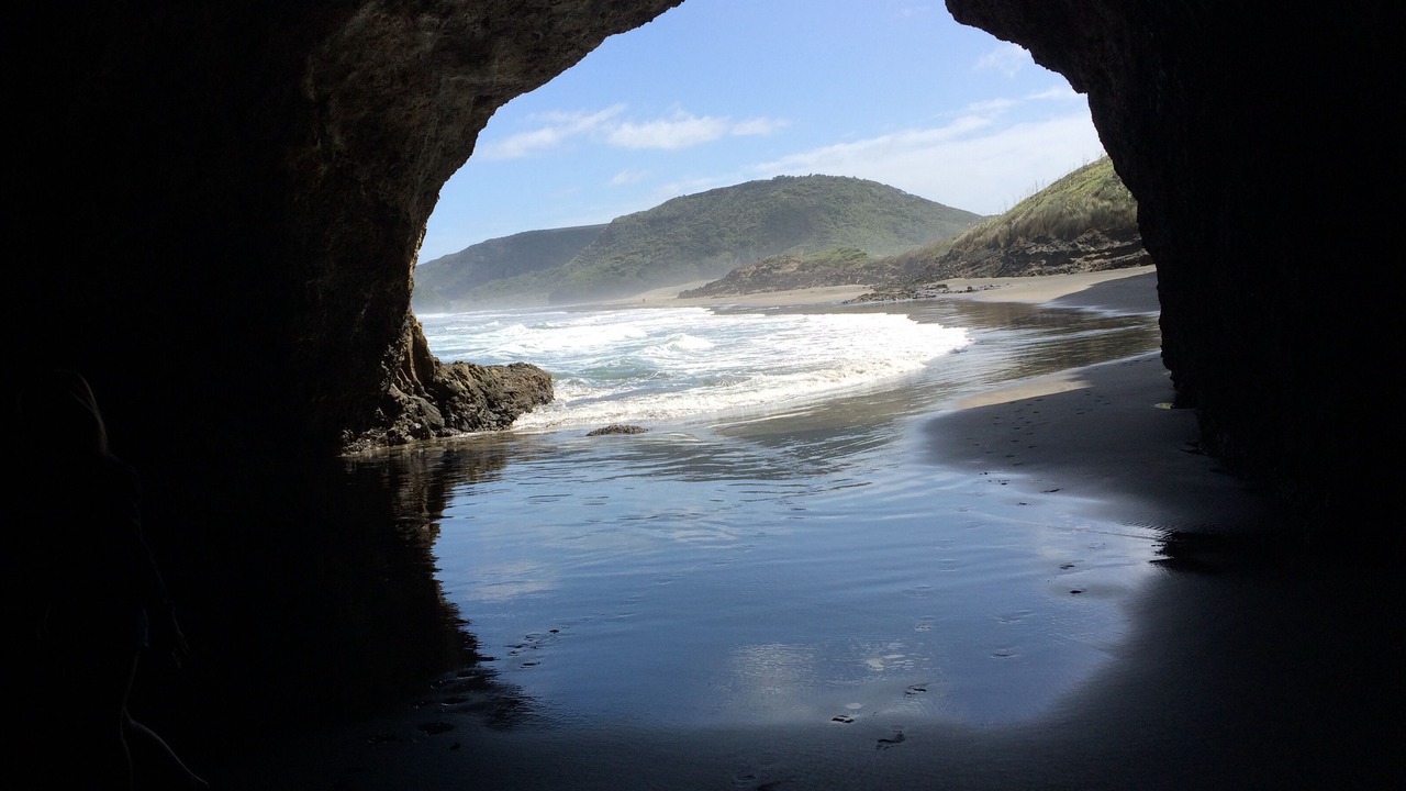Photo of Others in Bethells Beach