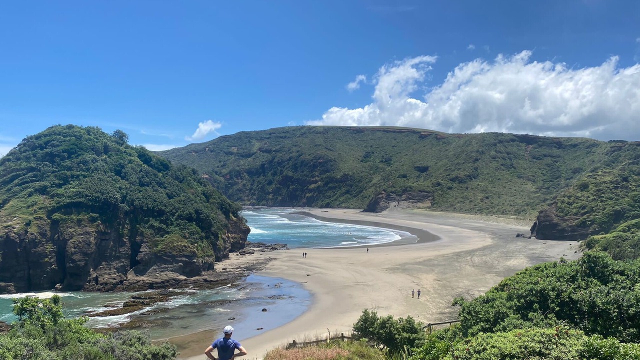 Photo of Others in Bethells Beach