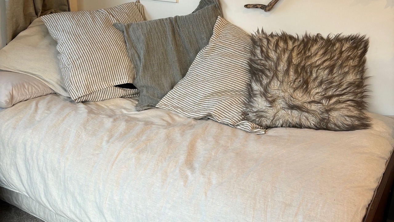 Photo of Bedroom in Karitane