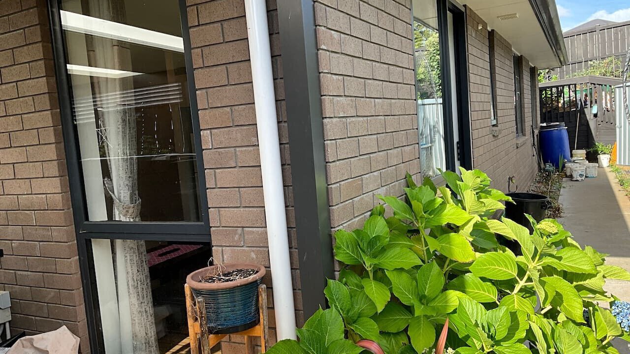 Photo of Outdoor in Pukekohe