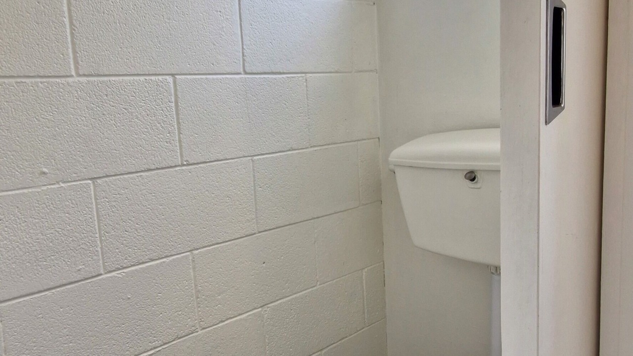 Photo of Others in Napier